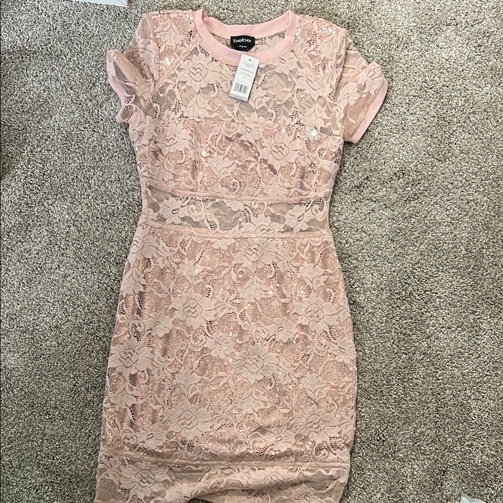 Lace Pink Dress by Express